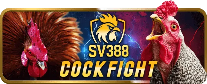 Bước 3: Chọn và chơi bắn cá tại 1win chính thức